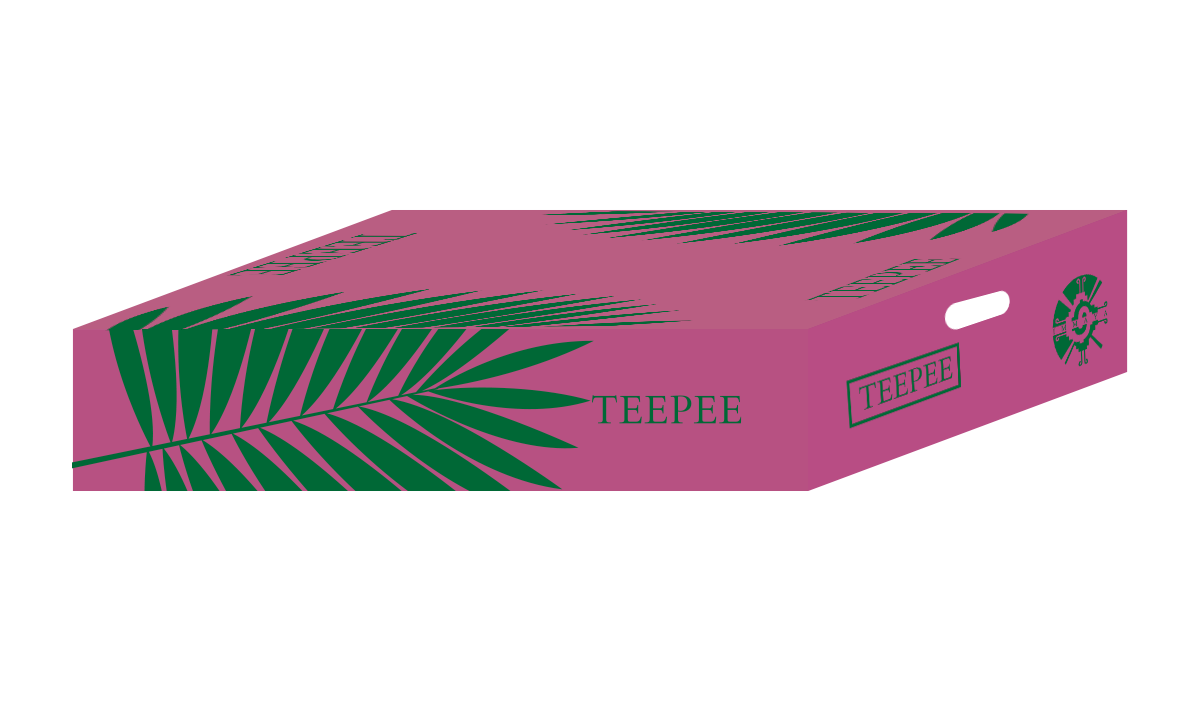 teepee-caja